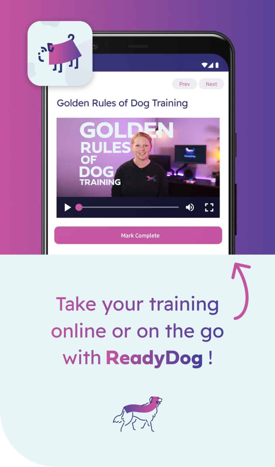 BabyDog Dog Training Victoria BC